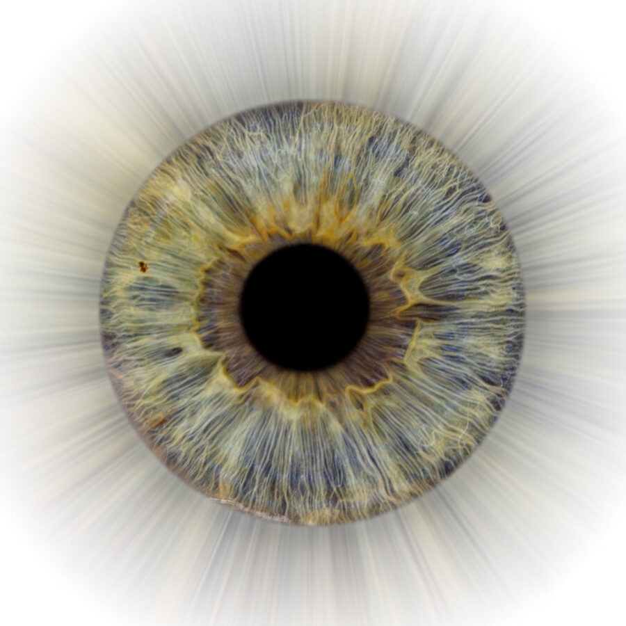 Irisfoto mit Strahlen nach aussen, Irisfotografie, Auge