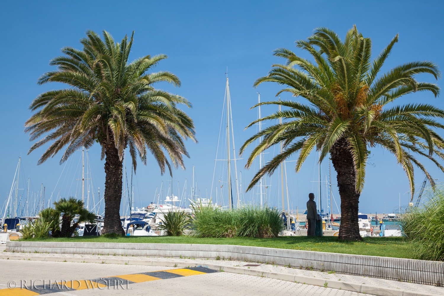 Palmen am Yachthafen von Pescara
